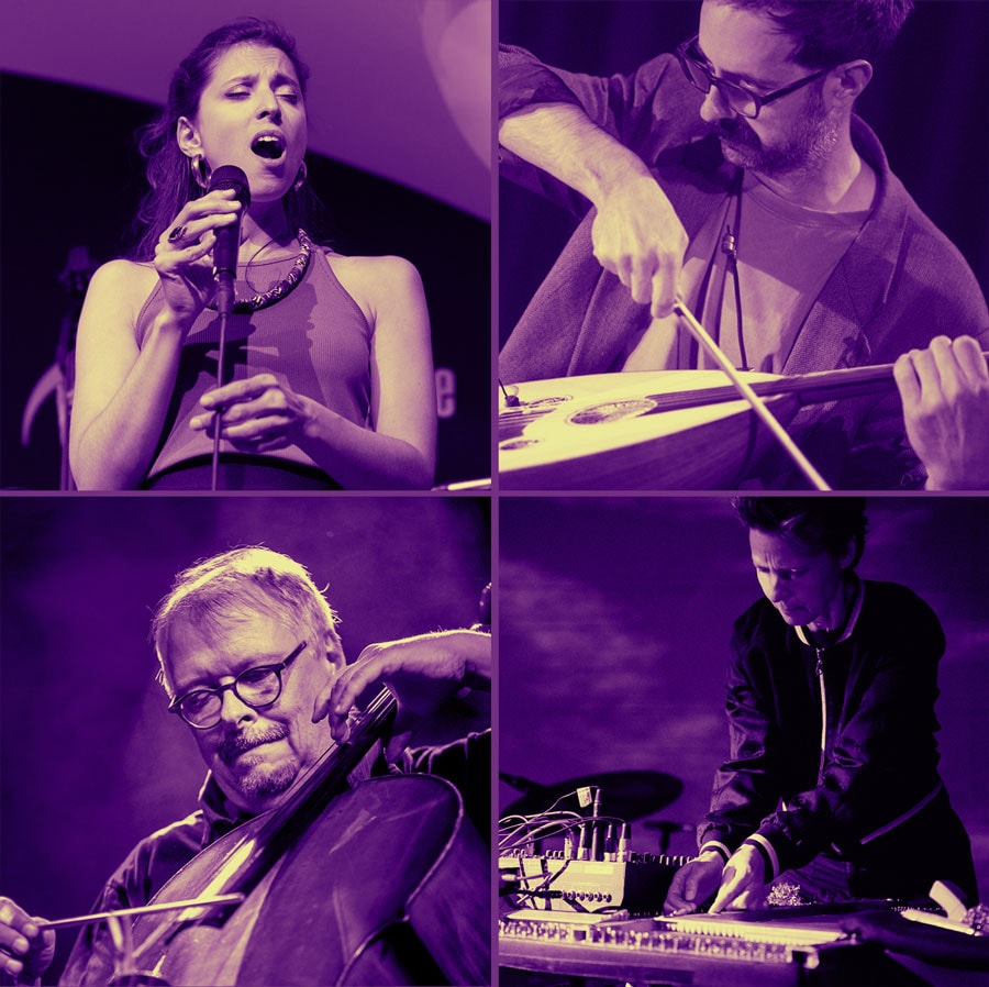 img_morelli moser neumann zimmerlin